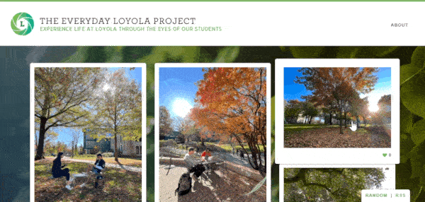 Scrolling feed of campus photography