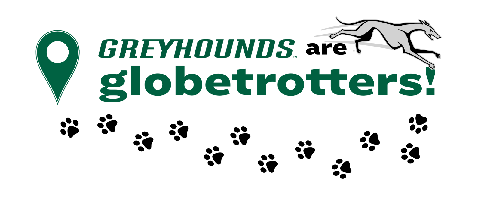A graphic image of the leaping Loyola greyhound logo jumping over the words Greyhounds are globetrotters with paw prints leading to a green location pin