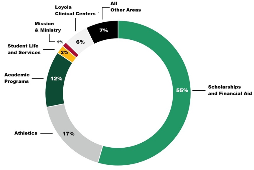 A pie chart with percentage of annual giving area.