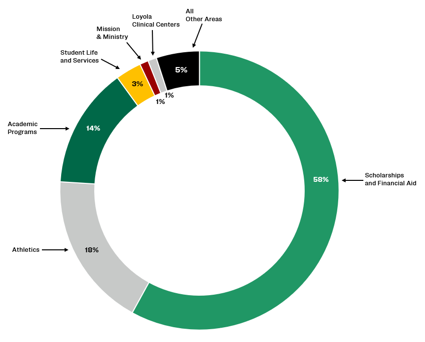 A pie chart with percentage of annual giving area.