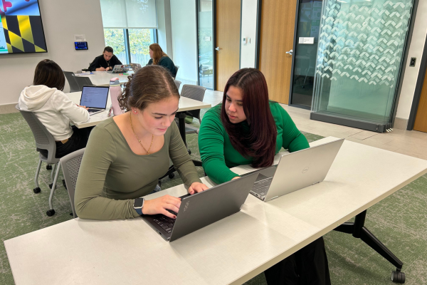 Two students at desk using laptops