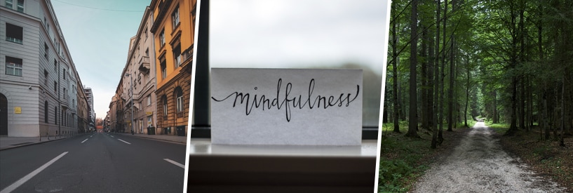 A street and buildings in Europe, "mindfulness" written on a note card, a quiet path in a forest