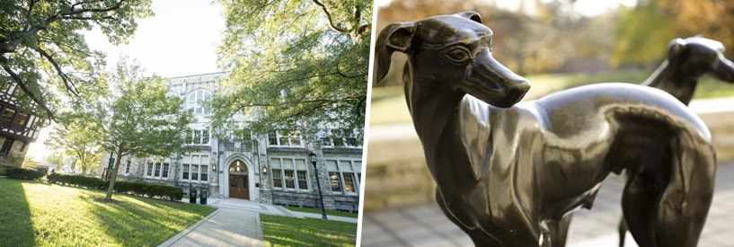 Jenkins hall in the sunlight; greyhound statue