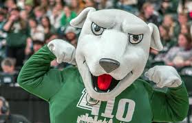 Loyola's mascot, Iggy, is wearing a green jersey. He is posing in front of a large crowd with his arms raised above his head