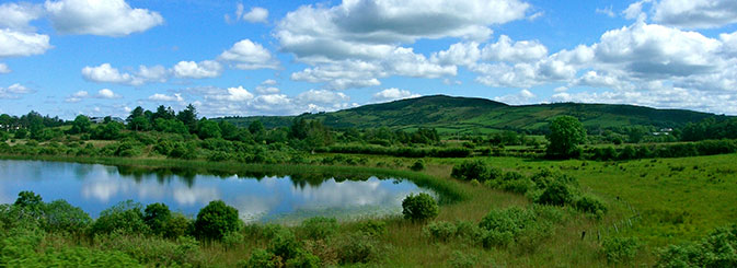A pond and a meadow in the countryside of Cork, Ireland