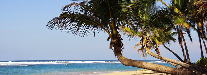 Beach in Dominican Republic