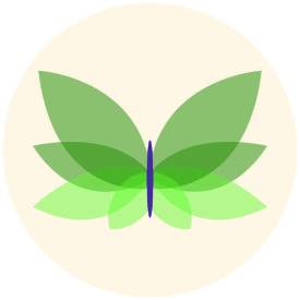Butterfly graphic