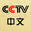 cctv logo