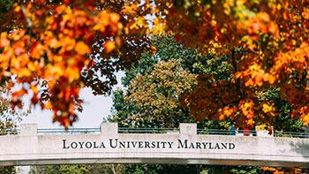 Loyola's bridge crossing North Charles Street, in the fall