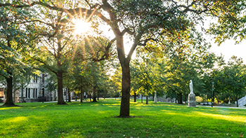 Setting sun peeking through the trees on Loyola's Quad