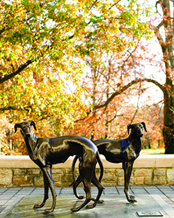Greyhound statues in front of the FAC