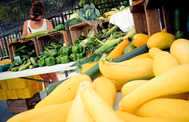 Yellow summer squash and other various vegetables at the Govanstowne Farmers' Market