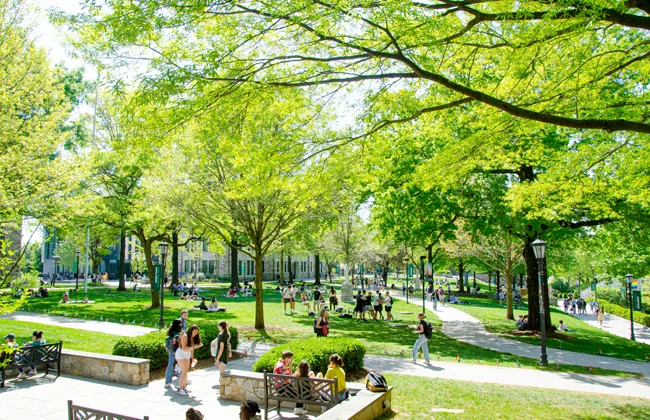 Students on the quad on a summer day