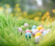 Colorfully decorated Easter eggs nestled in green grass outdoors.