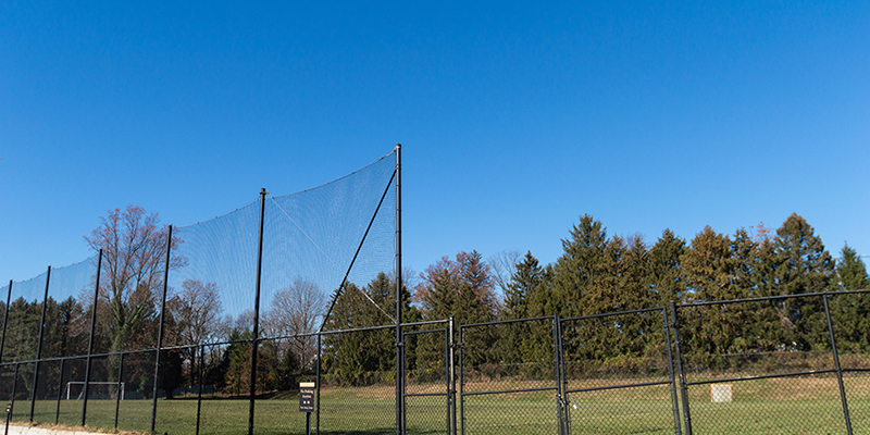 Grassy outdoor fenced-in field with trees and vivid blue sky in the background