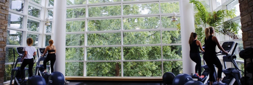 Women using elliptical machines facing a large window