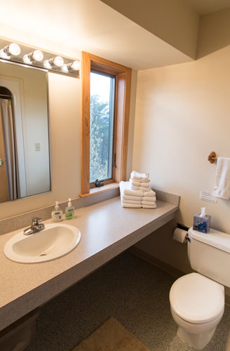 Bathroom sink and vanity