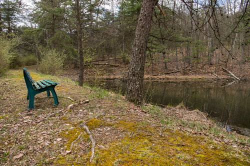 Pond with path and bench