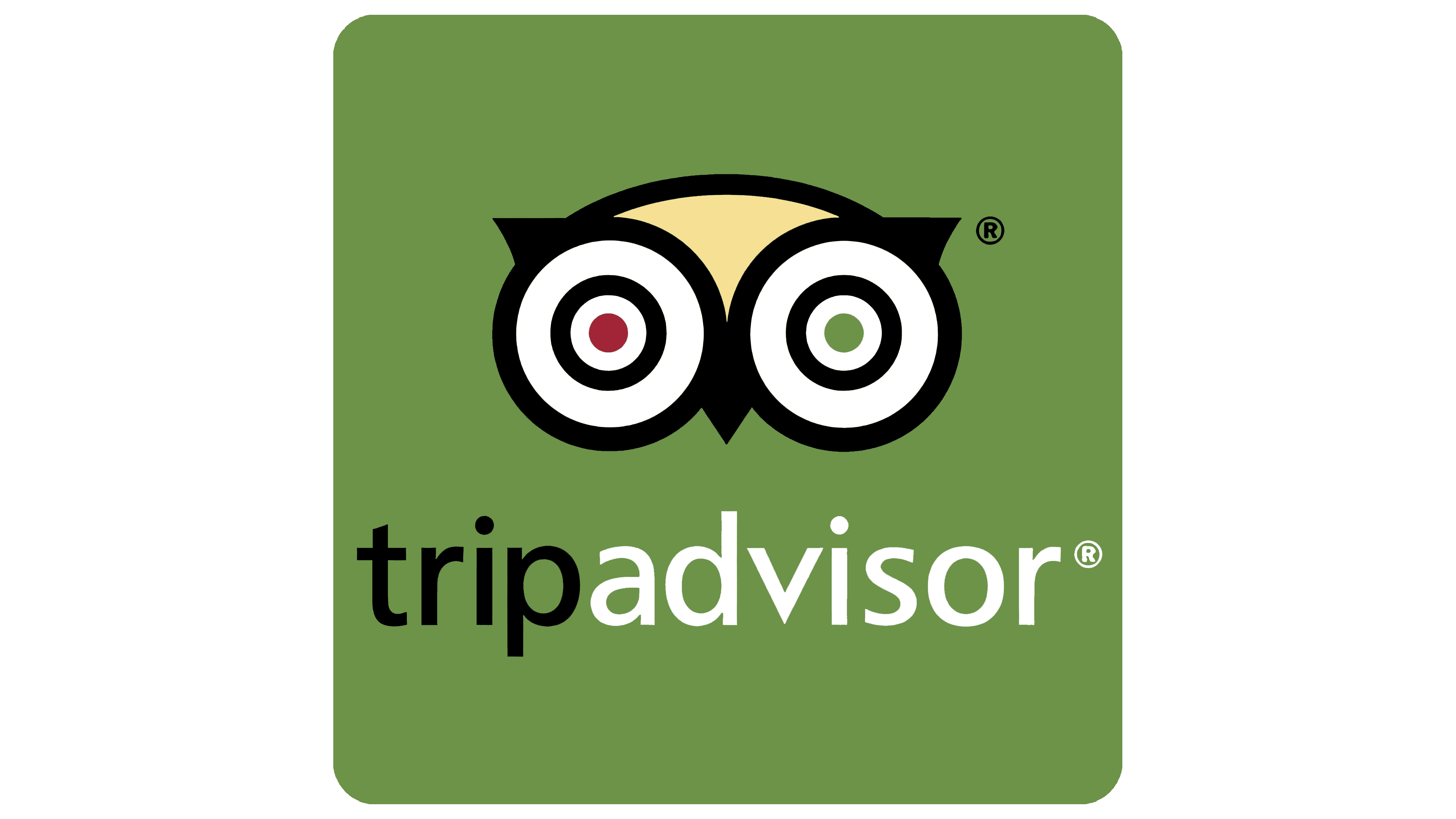 TripAdvisor logo