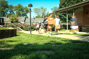 Students walking back and forth with boxes