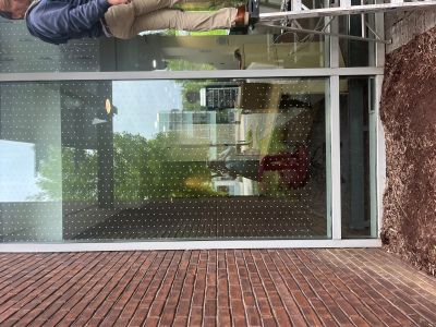 White dots on window at Thea Bowman