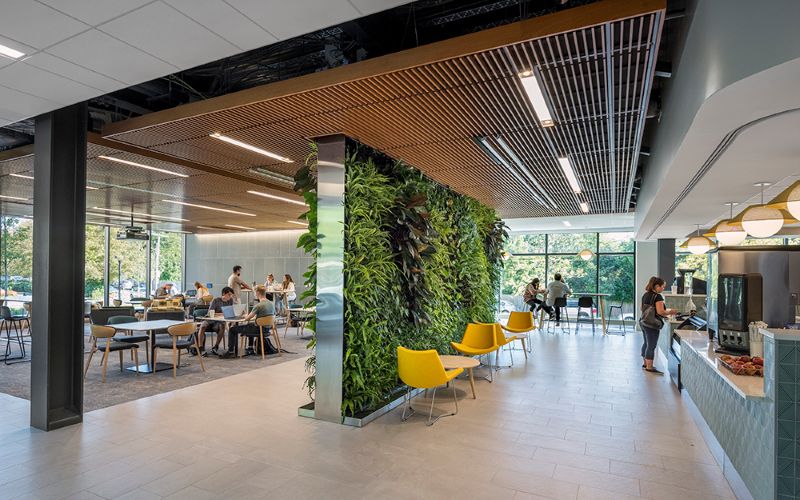 Green wall featured with lush plants in Fernandez at the Green and Gray Cafe.