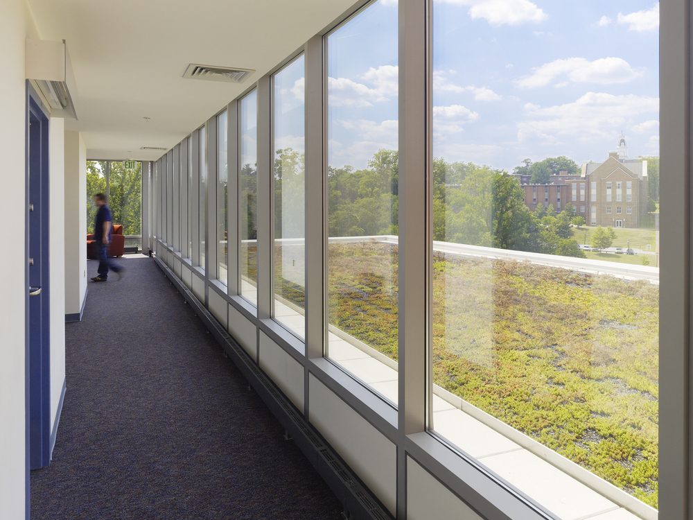 Thea Bowman green roof