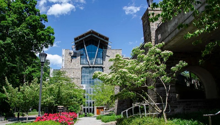 Sellinger Building with trees