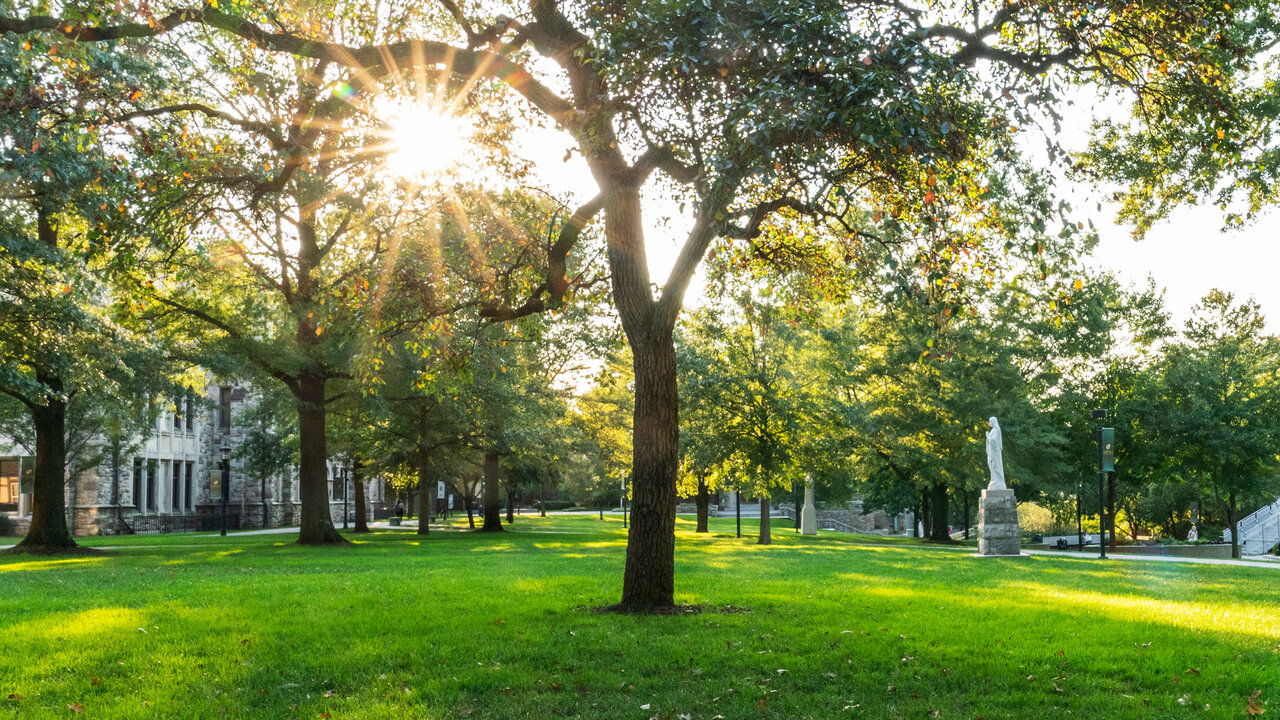 image of campus and nature