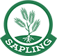 Sapling