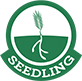 Seedling