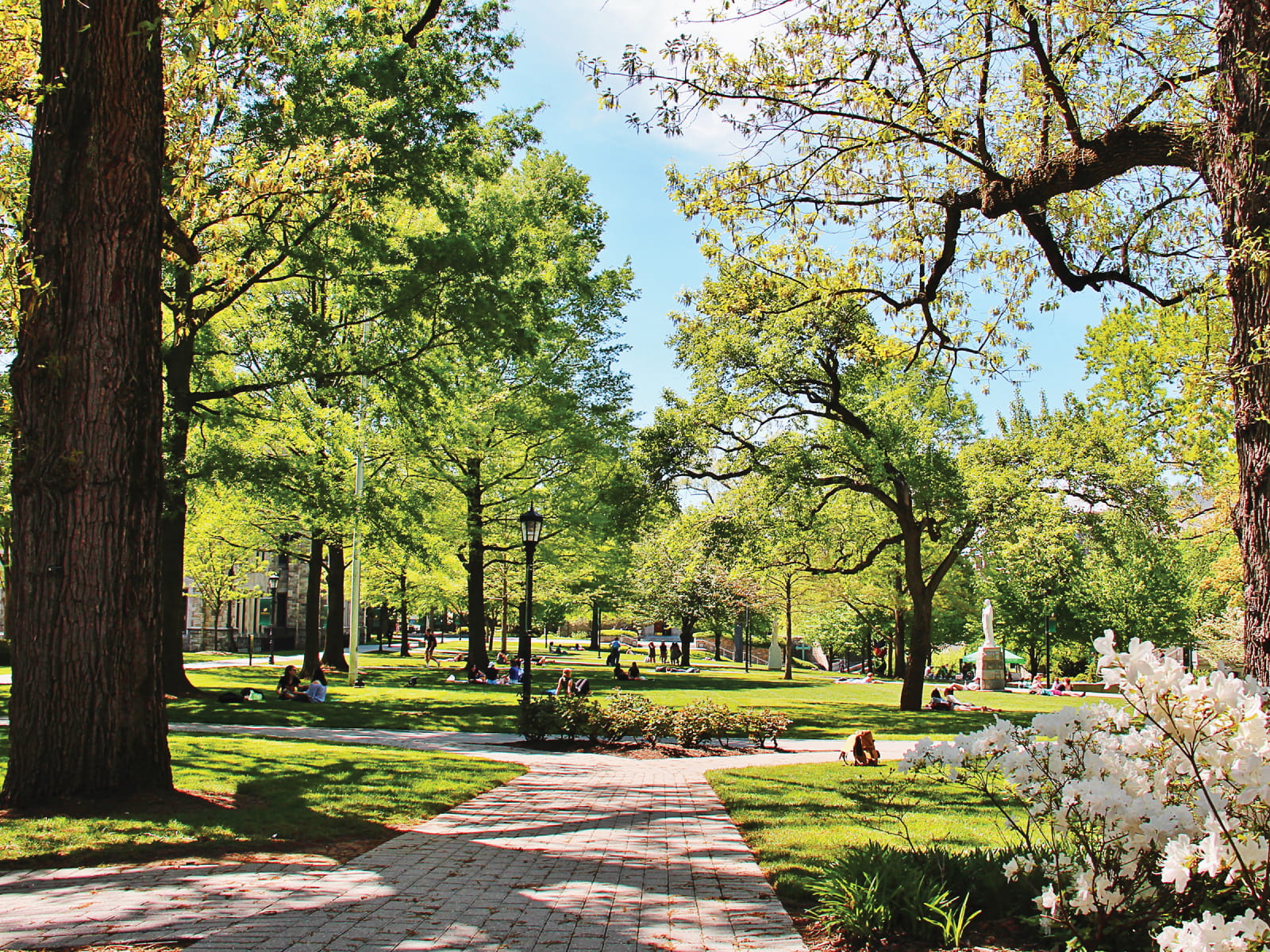 The Loyola Maryland quad during spring