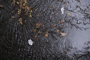 Plastic Litter Pieces Floating in Stream