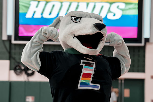 Iggy in a pride tshirt at pride volleyball event