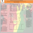 Poster image:  Assessment of African American Spirituality