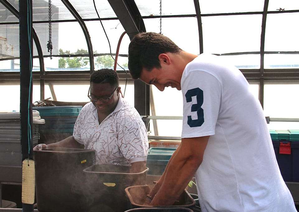 Students mixing dirt