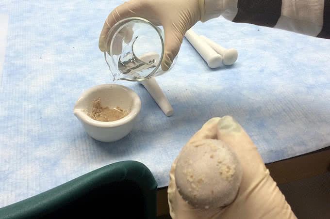 A student pouring a liquid solution into a mortar and pestle filled with plant tissue