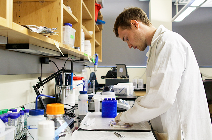 Student works in a lab on an independent study.