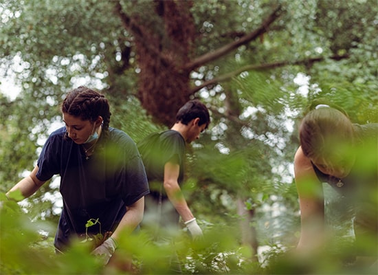 Loyola students volunteering in a woodsy area picking up trash