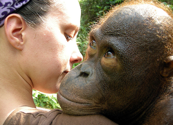 A person with an orangutan