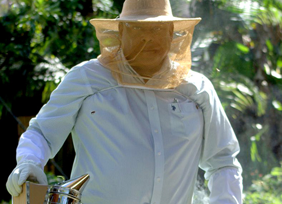 Ual Bradley, Jr. amongst his bees, wearing a beekeeper helmet.