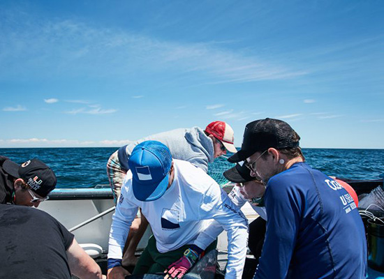 Men on a boat working beneath a clear, blue sky.