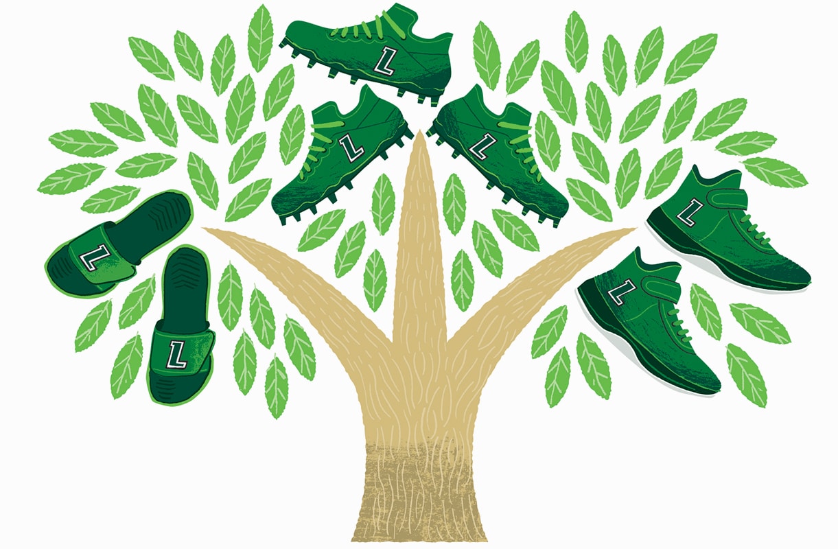 Illustration of Loyola branded athletic shoes growing from a tree