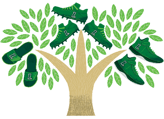 Illustration of Loyola branded athletic shoes growing from a tree