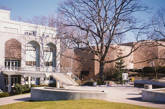 White oak tree in 1988