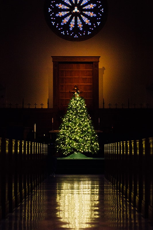 Christmas tree with lights in a chapel with a stained glass window above it