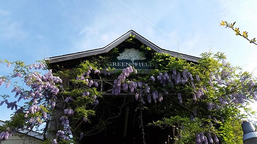 Exterior photo of Green Fields Nursey with foliage in front