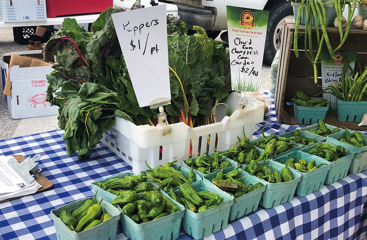 Containers of peppers and other produce sit on a table with a blue checkerboard tablecloth