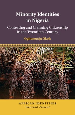 Book cover of 'Minority Identities in Nigeria'