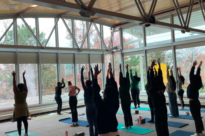 A group of students practicing yoga at a wellness retreat.